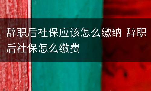 辞职后社保应该怎么缴纳 辞职后社保怎么缴费