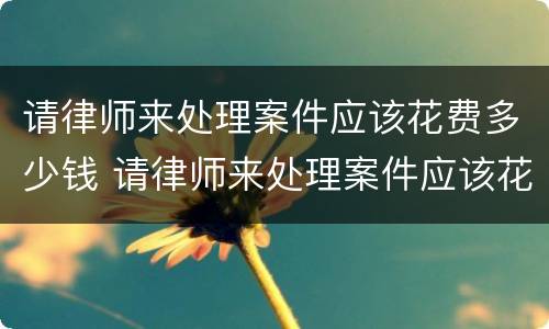 请律师来处理案件应该花费多少钱 请律师来处理案件应该花费多少钱呢