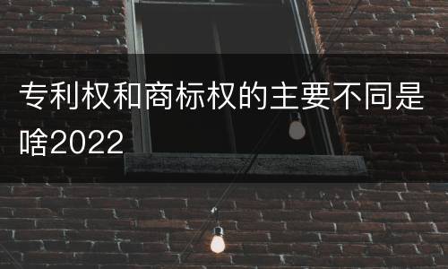 专利权和商标权的主要不同是啥2022