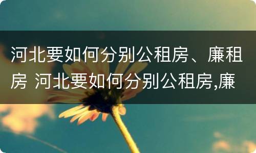 河北要如何分别公租房、廉租房 河北要如何分别公租房,廉租房呢