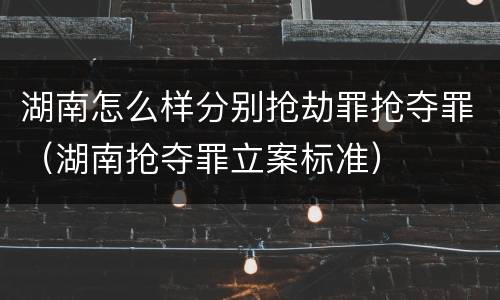 湖南怎么样分别抢劫罪抢夺罪（湖南抢夺罪立案标准）