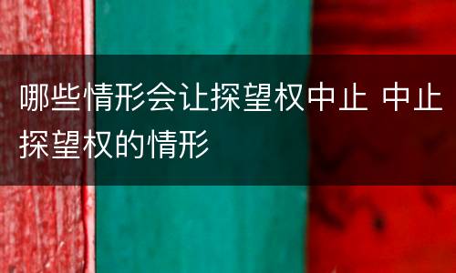 哪些情形会让探望权中止 中止探望权的情形