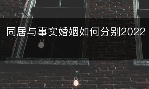 同居与事实婚姻如何分别2022
