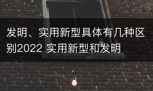发明、实用新型具体有几种区别2022 实用新型和发明