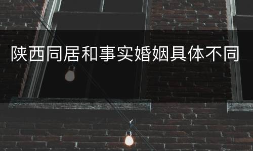 陕西同居和事实婚姻具体不同