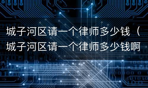 城子河区请一个律师多少钱（城子河区请一个律师多少钱啊）