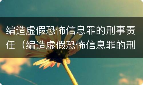 编造虚假恐怖信息罪的刑事责任（编造虚假恐怖信息罪的刑事责任）