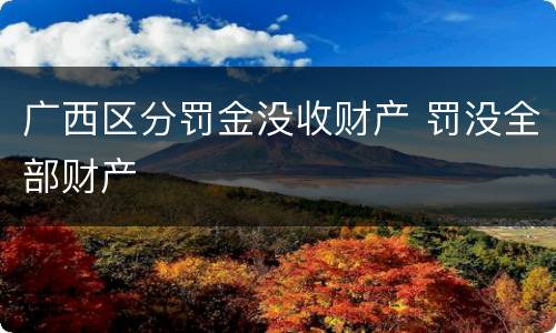 广西区分罚金没收财产 罚没全部财产