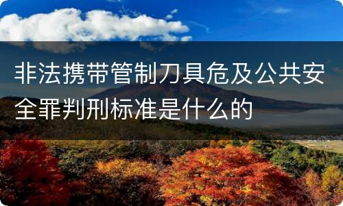 非法携带管制刀具危及公共安全罪判刑标准是什么的