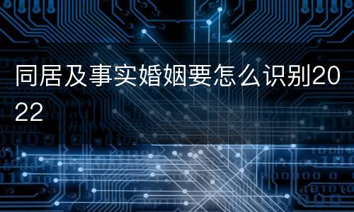 同居及事实婚姻要怎么识别2022