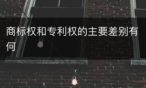 商标权和专利权的主要差别有何