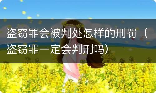 盗窃罪会被判处怎样的刑罚（盗窃罪一定会判刑吗）