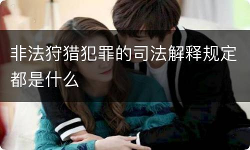 非法狩猎犯罪的司法解释规定都是什么