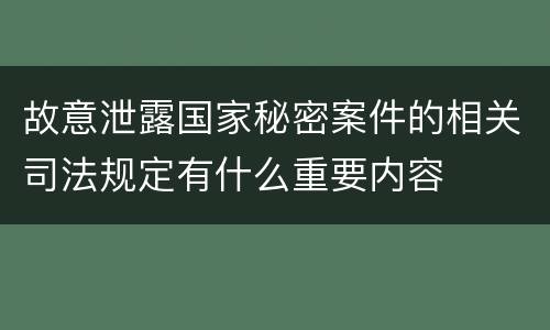 故意泄露国家秘密案件的相关司法规定有什么重要内容