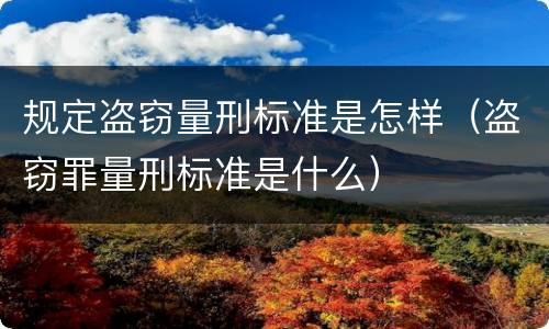 规定盗窃量刑标准是怎样（盗窃罪量刑标准是什么）
