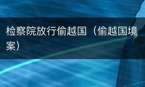 检察院放行偷越国（偷越国境案）