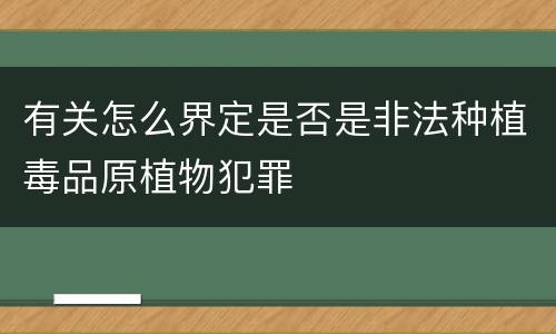 有关怎么界定是否是非法种植毒品原植物犯罪
