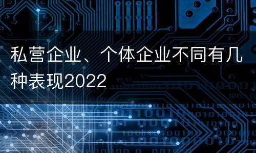 私营企业、个体企业不同有几种表现2022