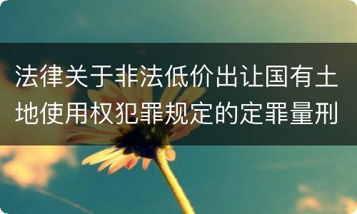 法律关于非法低价出让国有土地使用权犯罪规定的定罪量刑标准是怎样的