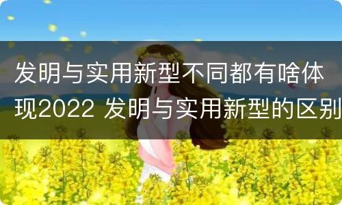 发明与实用新型不同都有啥体现2022 发明与实用新型的区别有哪些