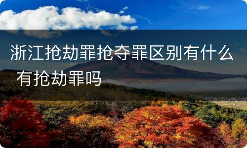 浙江抢劫罪抢夺罪区别有什么 有抢劫罪吗