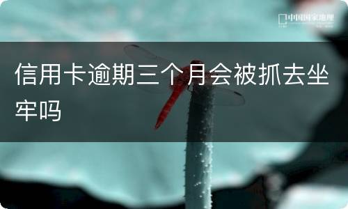 信用卡逾期三个月会被抓去坐牢吗