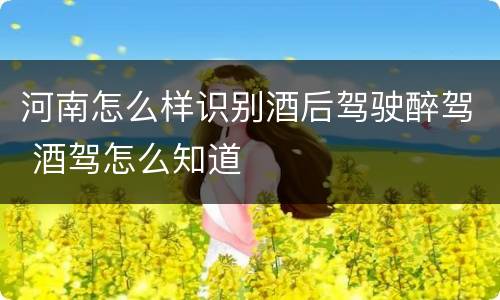 河南怎么样识别酒后驾驶醉驾 酒驾怎么知道