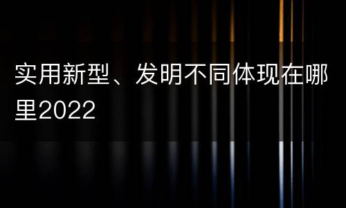 实用新型、发明不同体现在哪里2022