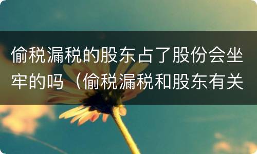 偷税漏税的股东占了股份会坐牢的吗（偷税漏税和股东有关系吗）