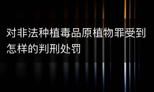 对非法种植毒品原植物罪受到怎样的判刑处罚