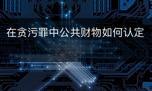 在贪污罪中公共财物如何认定