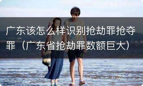 广东该怎么样识别抢劫罪抢夺罪（广东省抢劫罪数额巨大）