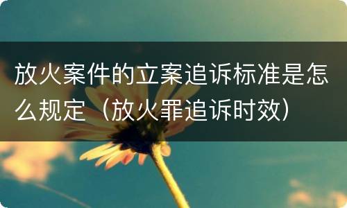 放火案件的立案追诉标准是怎么规定（放火罪追诉时效）