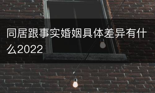 同居跟事实婚姻具体差异有什么2022