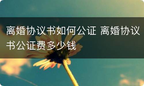 离婚协议书如何公证 离婚协议书公证费多少钱