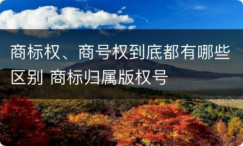 商标权、商号权到底都有哪些区别 商标归属版权号