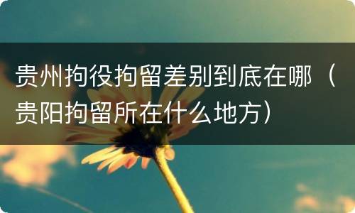 贵州拘役拘留差别到底在哪（贵阳拘留所在什么地方）