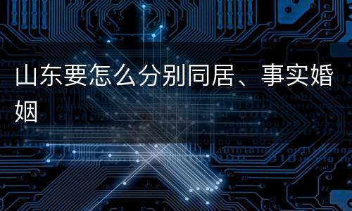 山东要怎么分别同居、事实婚姻