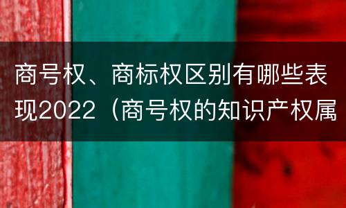 商号权、商标权区别有哪些表现2022（商号权的知识产权属性）