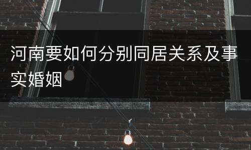 河南要如何分别同居关系及事实婚姻