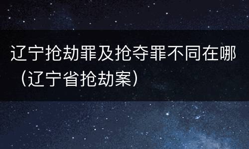 辽宁抢劫罪及抢夺罪不同在哪（辽宁省抢劫案）