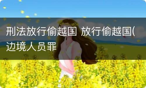 刑法放行偷越国 放行偷越国(边境人员罪