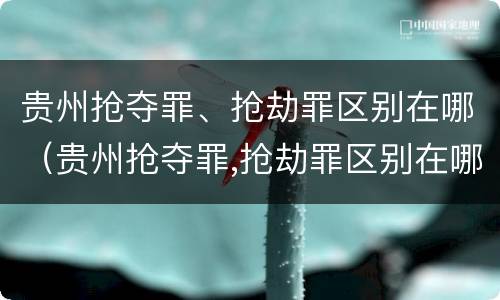 贵州抢夺罪、抢劫罪区别在哪（贵州抢夺罪,抢劫罪区别在哪里）