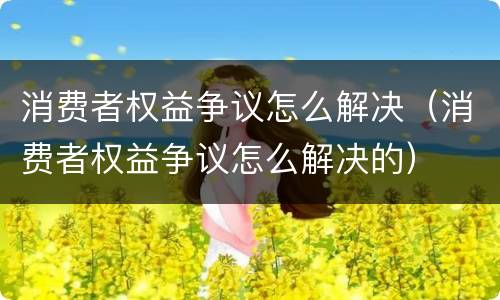 消费者权益争议怎么解决（消费者权益争议怎么解决的）