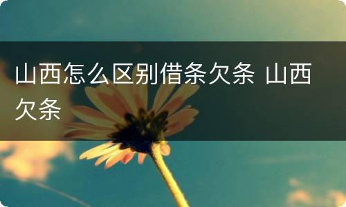 山西怎么区别借条欠条 山西 欠条