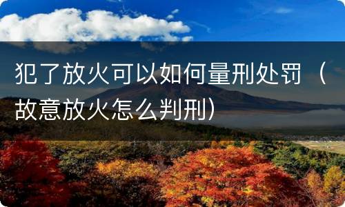 犯了放火可以如何量刑处罚（故意放火怎么判刑）