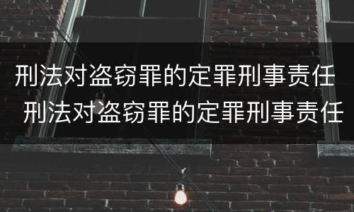 刑法对盗窃罪的定罪刑事责任 刑法对盗窃罪的定罪刑事责任的定义