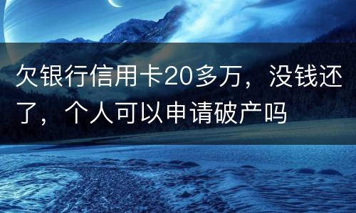 欠银行信用卡20多万，没钱还了，个人可以申请破产吗