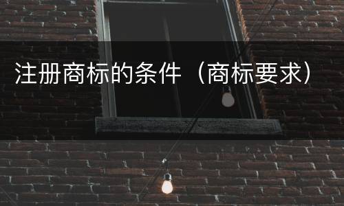 注册商标的条件（商标要求）