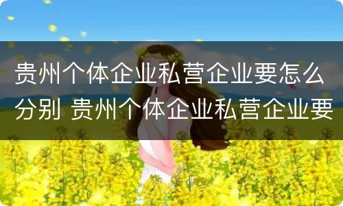 贵州个体企业私营企业要怎么分别 贵州个体企业私营企业要怎么分别交税
